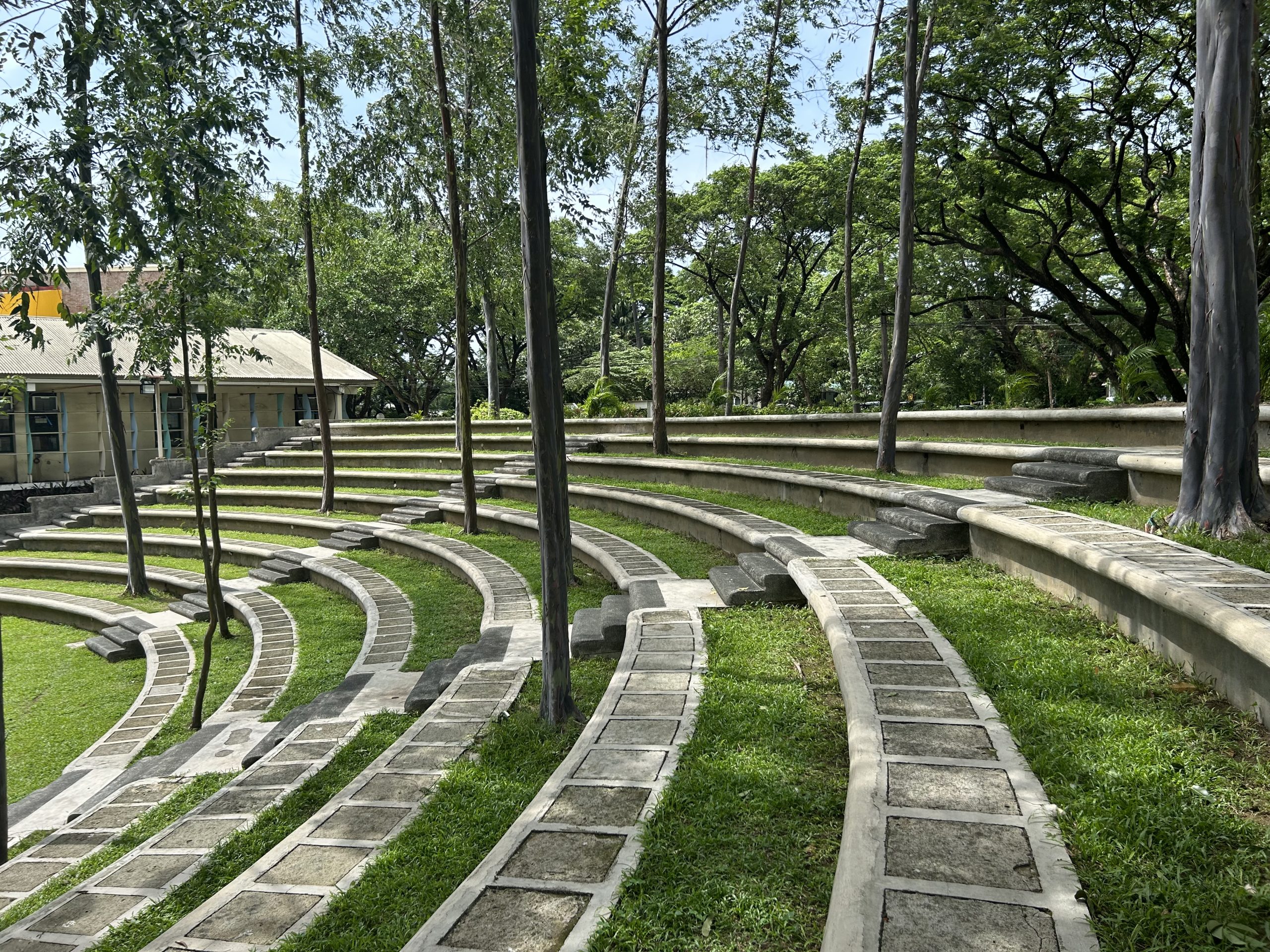 MTLA CURRICULUM